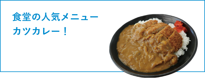 食堂の人気メニュー カツカレー！